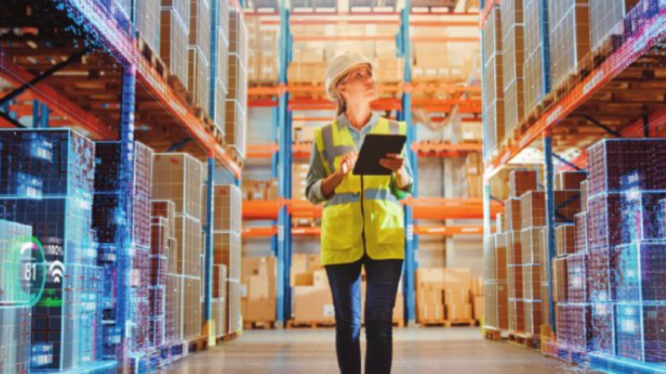 Racking inspector walking through warehouse